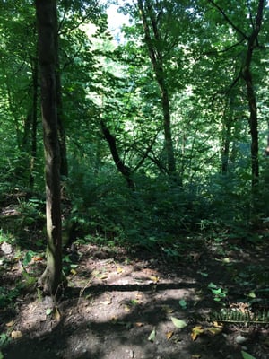 Chambers Creek Canyon Park