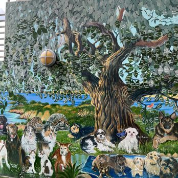 Veterinary Specialty Hospital - Sorrento Valley - Tree of Life Mural - Veterinarians Near Me - Valley, California Veterinary Specialty Hospital - Sorrento Valley - Tree of Life Mural - Veterinarians Near Me - Valley, California