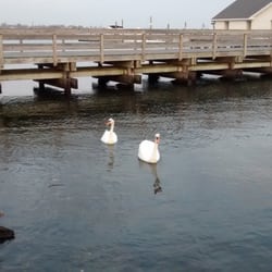 Keystone Yacht Club - The kids