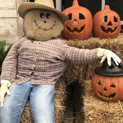 Signal Mountain Nursery - This handsome fellow made me giggle