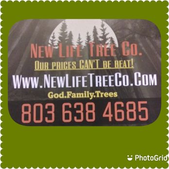 New Life Tree Co - Call us today !! - Tree Services Near Me New Life Tree Co - Call us today !! - Tree Services Near Me