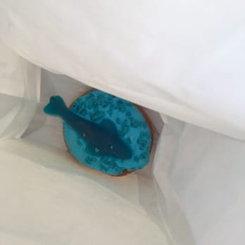 Glenn Wayne Bakery - A specialty shark week donut - Bakeries Near Me - Bohemia, New York Glenn Wayne Bakery - A specialty shark week donut - Bakeries Near Me - Bohemia, New York