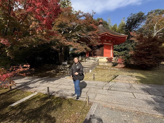 Tōfuku-ji Temple by null