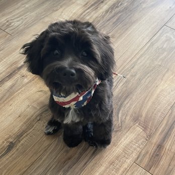 Pet Wishes Spa - Pet Groomers Near Me - Las Vegas, Nevada