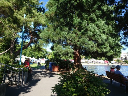 Kirkland Wednesday Market by null