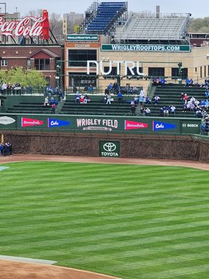 Arizona Diamondbacks Team Shop by null