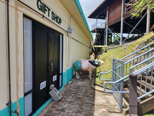 Two Lovers' Point by null