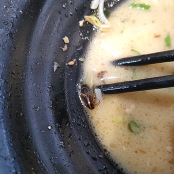 Ajisen Ramen - DEAD COCKROACH floating on the soup in Ajisen Ramen Spadina Ave Toronto - Ramen Near Me - Toronto, Ontario Ajisen Ramen - DEAD COCKROACH floating on the soup in Ajisen Ramen Spadina Ave Toronto - Ramen Near Me - Toronto, Ontario