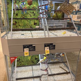 PetSmart - Pet Stores Near Me - Clovis, California