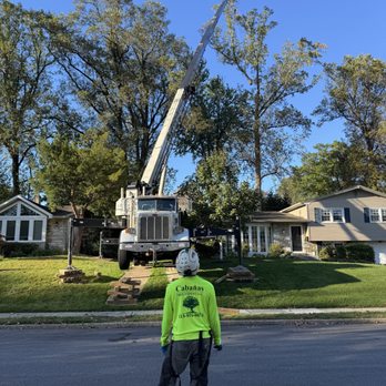 Cabanas Tree Expert - Crane work - Tree Services Near Me - Ambler, Pennsylvania Cabanas Tree Expert - Crane work - Tree Services Near Me - Ambler, Pennsylvania