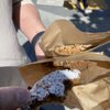 Batter Bakery gift card