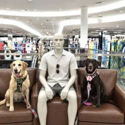 Dillard's