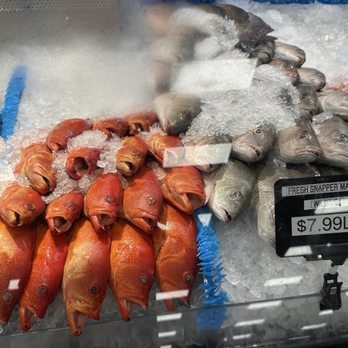 Broward Meat & Fish - Grocery Near Me - Pembroke Pines, Florida Broward Meat & Fish - Grocery Near Me - Pembroke Pines, Florida