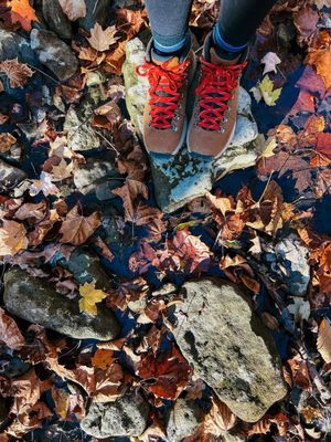 Clifton Gorge State Nature Preserve by null