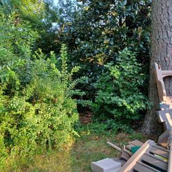 Nature's Choice Lawn Care - Refer to picture with the shed. This was the start of services.