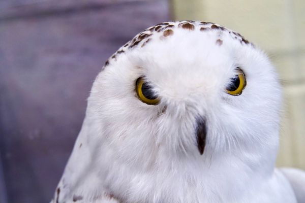 Indiana Dunes Visitor Center by null