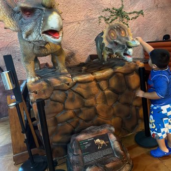 DinoLand Cafe - New American Near Me - Myrtle Beach, South Carolina