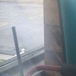 Dead flies on window sill. Dead flies on window sill.