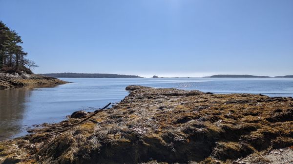 Wolfe's Neck Woods State Park by null