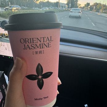 Molly Tea - Bubble Tea Near Me - Sunnyvale, California