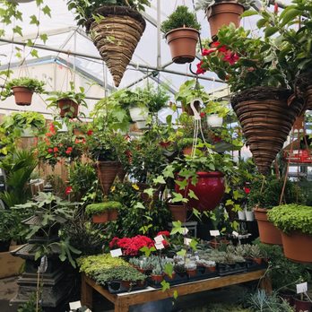 Marché Atwater - These planters are gorgeous - Public Markets Near Me - Montreal, Quebec Marché Atwater - These planters are gorgeous - Public Markets Near Me - Montreal, Quebec