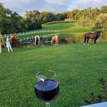 Doughty Glen Winery - a glass of wine with horses in the background - Wineries Near Me - Millersburg, Ohio Doughty Glen Winery - a glass of wine with horses in the background - Wineries Near Me - Millersburg, Ohio