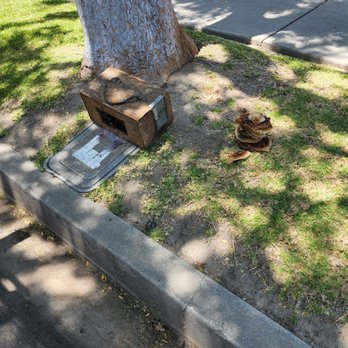 Bee Removal - Pest Control Near Me Bee Removal - Pest Control Near Me