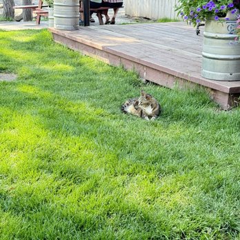 Terminal Gravity Brewery & Pub - Pub cat - Brewpubs Near Me - Enterprise, Oregon
