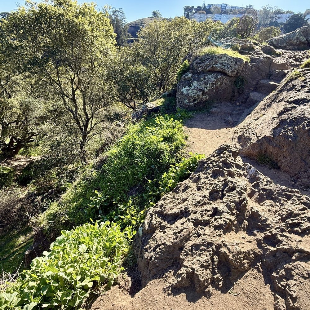 Glen Canyon Park - Good luck - Parks Near Me - San Francisco, California Glen Canyon Park - Good luck - Parks Near Me - San Francisco, California