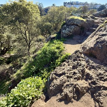 Glen Canyon Park - Good luck - Parks Near Me - San Francisco, California Glen Canyon Park - Good luck - Parks Near Me - San Francisco, California