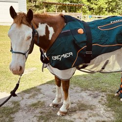 Integrative Healing Veterinary Clinic & Mobile Services