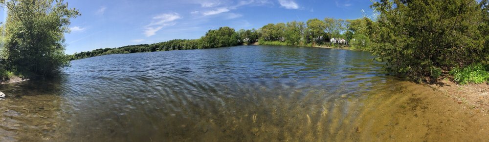 Buckmaster Pond Image