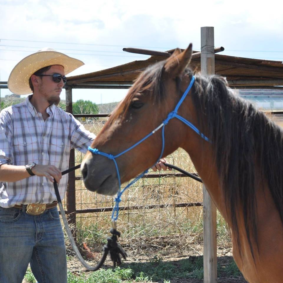 Shabbi Horsemanship - equestrian in Fountain, CO