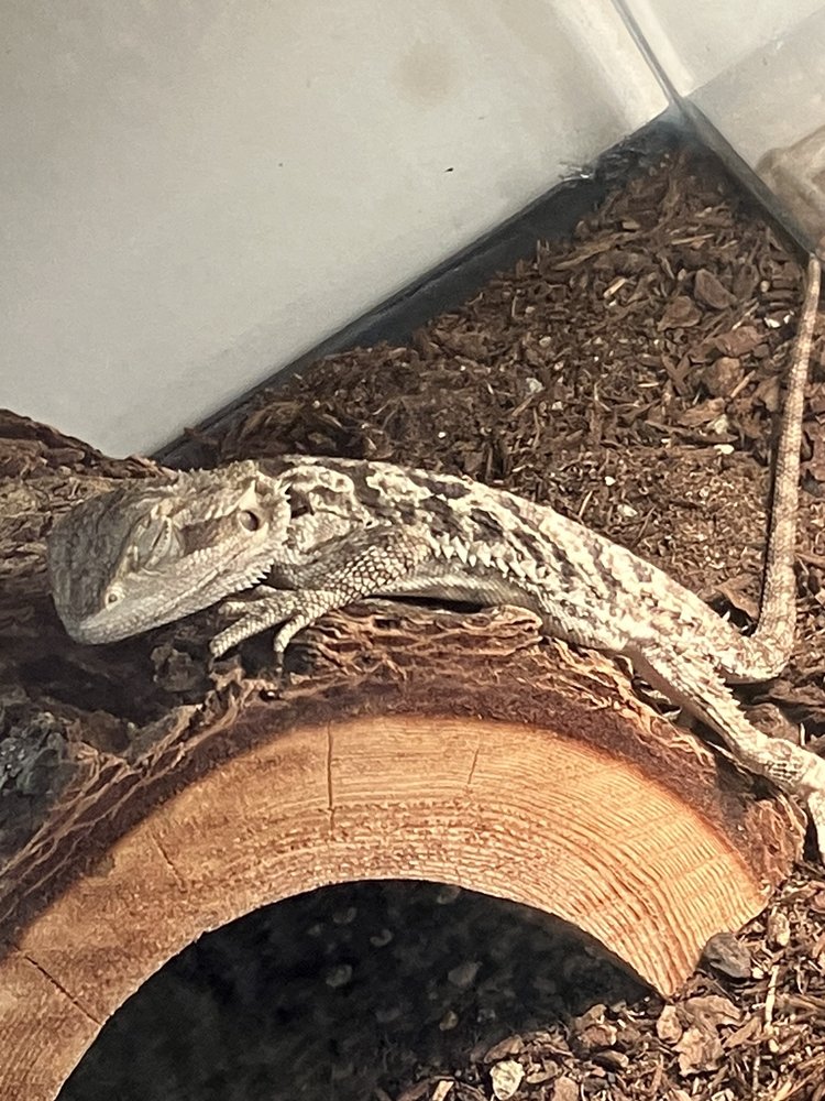 COLUMBUS PET SUPPLIES Updated September 2024 Columbus Farmers Mar, Columbus, New Jersey