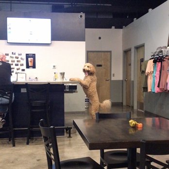 Two Shepherds Taproom - Well you may even see the dogs trying to check and pay ...Truly this speaks for itself!! PS to to right is swag to shop!! - Bars Near Me - Tampa, Florida Two Shepherds Taproom - Well you may even see the dogs trying to check and pay ...Truly this speaks for itself!! PS to to right is swag to shop!! - Bars Near Me - Tampa, Florida