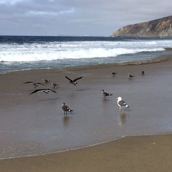 McClures Beach - Beaches Near Me - Inverness, California McClures Beach - Beaches Near Me - Inverness, California