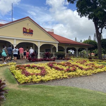 Aloha Trikke - Dole plantation - Tours Near Me - Honolulu, Hawaii