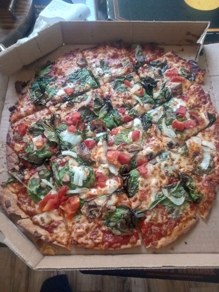 Domino's Pizza Logo