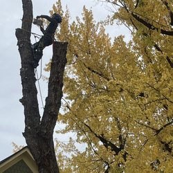 Big Sky Tree Care
