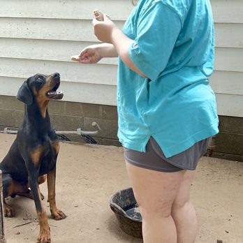 Marj the Dog Trainer - My daughter working with the rescue dogs after being coached by Marj the Dog Trainer!!! - Pet Training Near Me - Tulsa, Oklahoma Marj the Dog Trainer - My daughter working with the rescue dogs after being coached by Marj the Dog Trainer!!! - Pet Training Near Me - Tulsa, Oklahoma