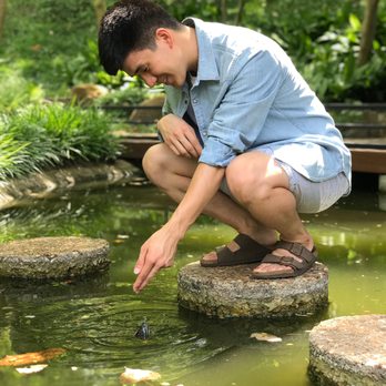 Fort Worth Botanic Garden - Japanese garden. Met a friendly turtle - Botanical Gardens Near Me - Fort Worth, Texas