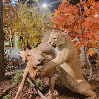 Bass Pro Shop - Outdoor Gear Near Me - Glendale, Arizona