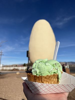 McGinn's PistachioLand by null