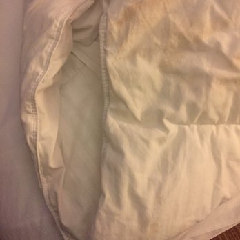 Courtyard by Marriott Charlotte Concord - blood stain - Hotels Near Me - Concord, North Carolina
