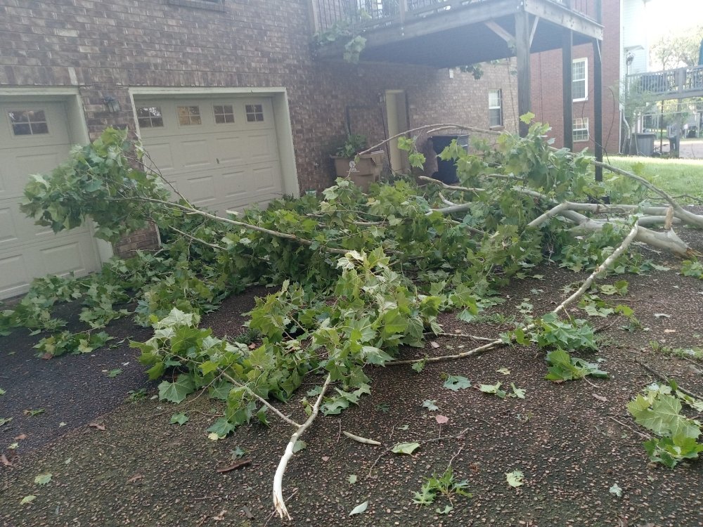 Slide of Steven Davenport