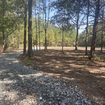 Dillard Land Management - Cleared lot & forestry mulching with a driveway installed - Tree Services Near Me - Newberry, South Carolina Dillard Land Management - Cleared lot & forestry mulching with a driveway installed - Tree Services Near Me - Newberry, South Carolina