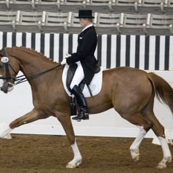 North Texas Equestrian Center