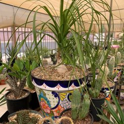 Marcia's Garden