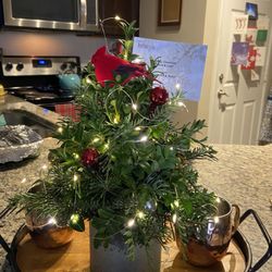 Cutest tabletop Christmas tree with lights! So adorable.