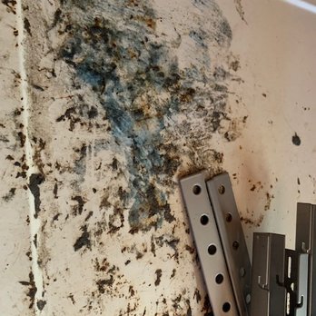 Alicia's House Cleaning Service's - Top of dryer not even wiped off, still has Downy or some Laundry detergent on it. - Home Cleaning Near Me Alicia's House Cleaning Service's - Top of dryer not even wiped off, still has Downy or some Laundry detergent on it. - Home Cleaning Near Me
